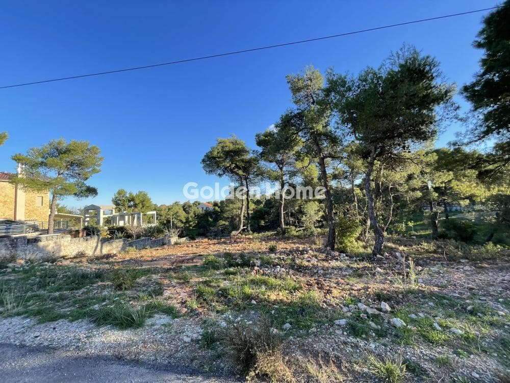 Building Plot in Avgi, Afidnes — Photo 1 of 4