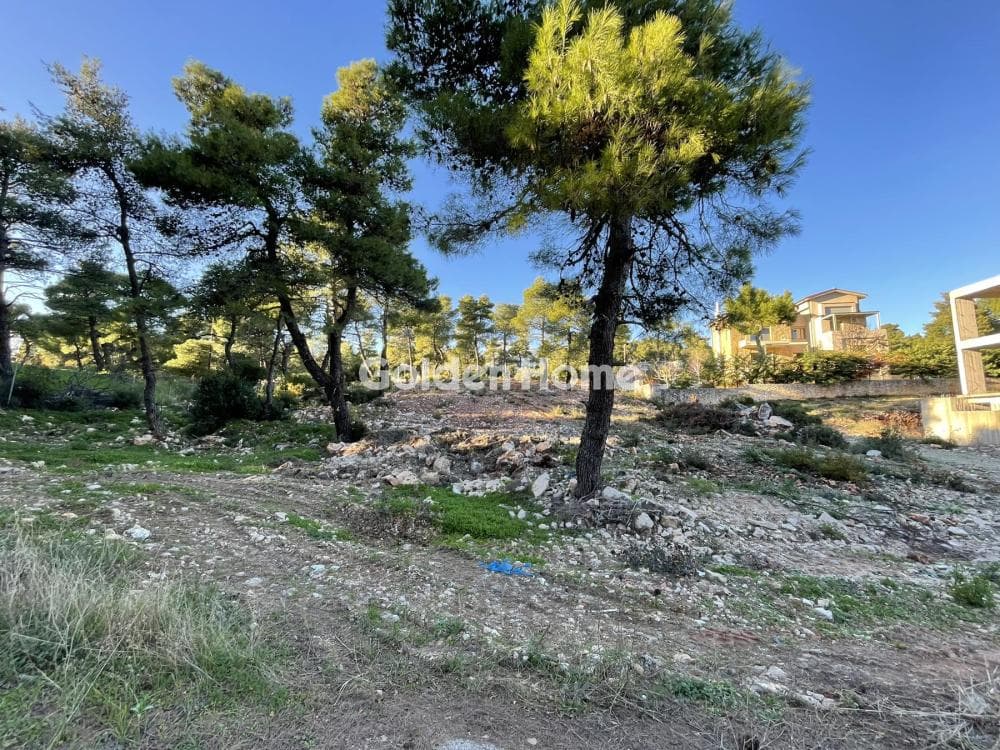 Building Plot in Avgi, Afidnes — Photo 4 of 4