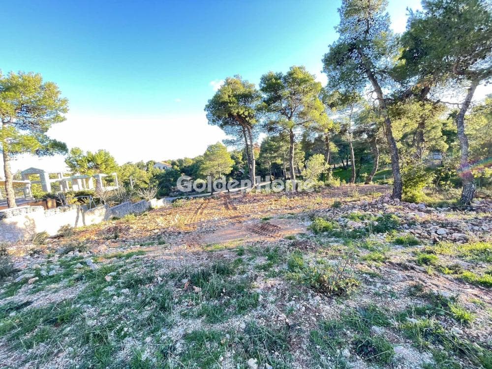Building Plot in Avgi, Afidnes — Photo 2 of 4