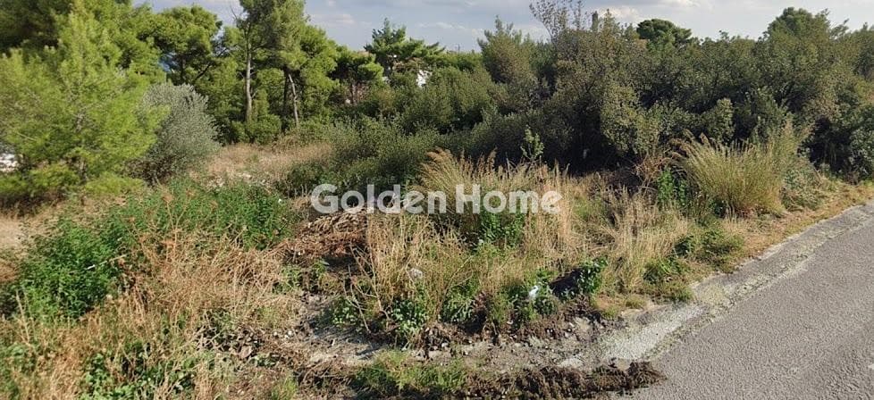 Οικόπεδο στην Μεγάλα Σχοινία Α, Αχαρνές — Φωτογραφία 2 από 4