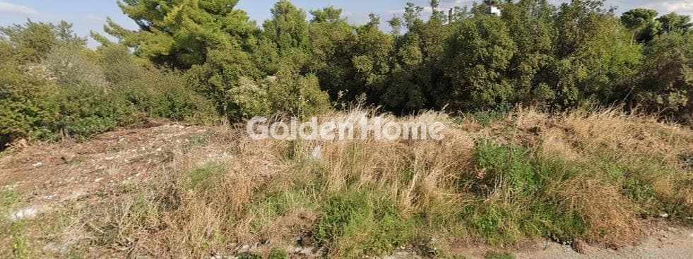 Οικόπεδο στην Μεγάλα Σχοινία Α, Αχαρνές — Φωτογραφία 4 από 4