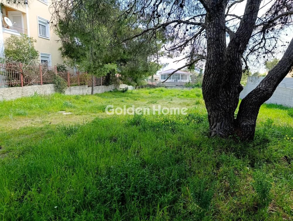 Building Plot in Megala Sxoinia A, Acharnes — Photo 2 of 7