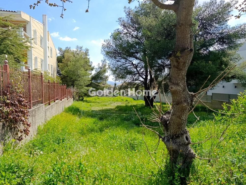 Building Plot in Megala Sxoinia A, Acharnes — Photo 1 of 7