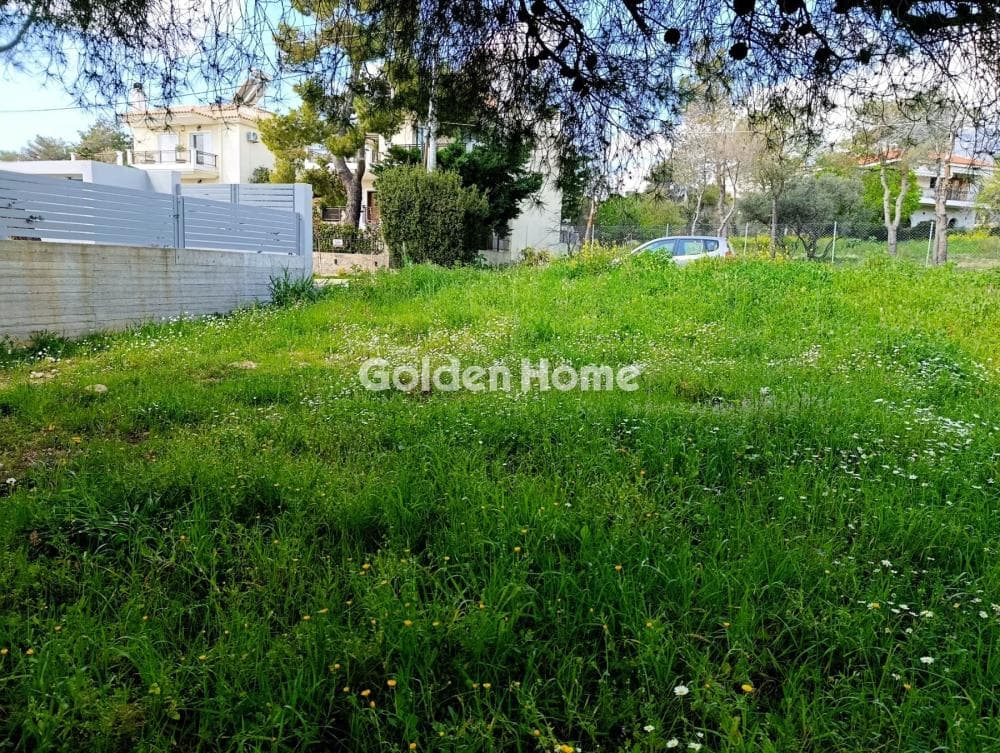 Building Plot in Megala Sxoinia A, Acharnes — Photo 6 of 7