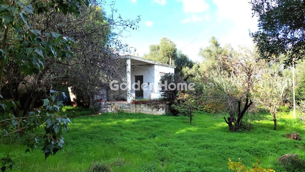 Οικόπεδο στην Άγιος Ανδρέας, Νέα Μάκρη — Φωτογραφία 1 από 3