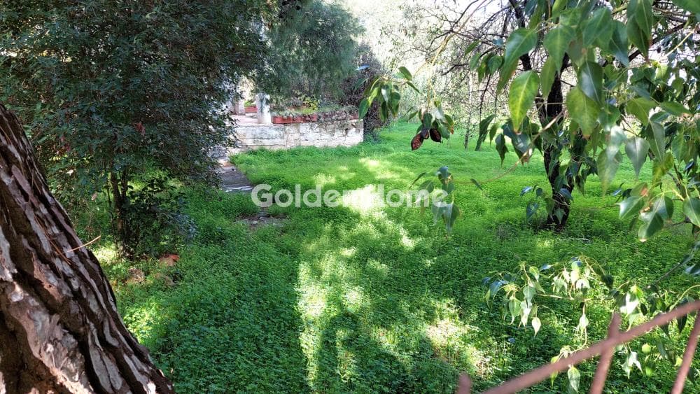 Οικόπεδο στην Άγιος Ανδρέας, Νέα Μάκρη — Φωτογραφία 3 από 3