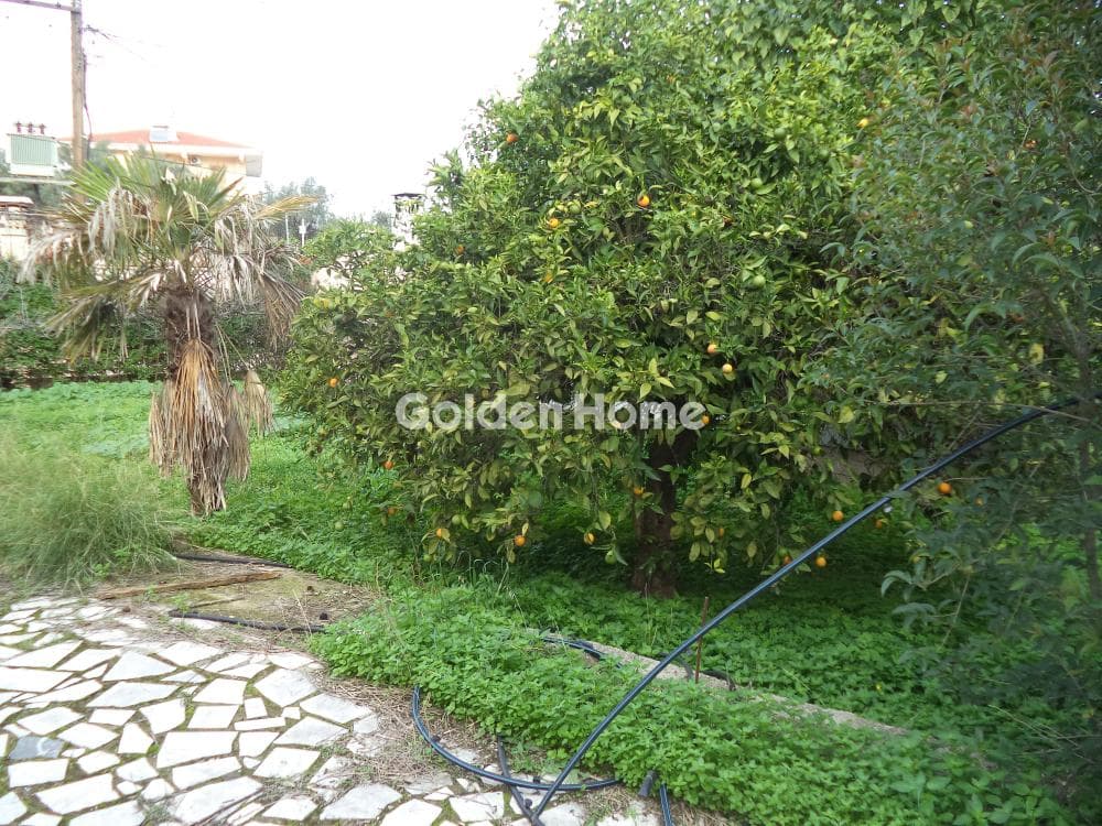 Μονοκατοικία στην Φωνησκαριά, Αίγιο — Φωτογραφία 4 από 11