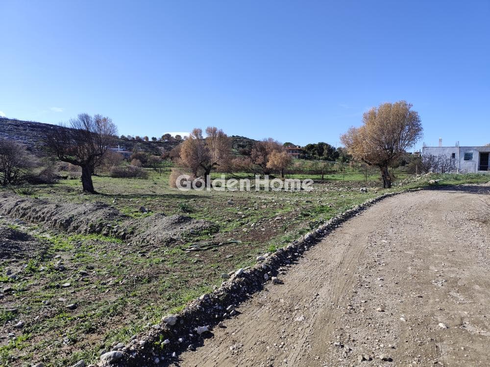 Parcel in Venio Daskaleiou, Keratea — Photo 1 of 3