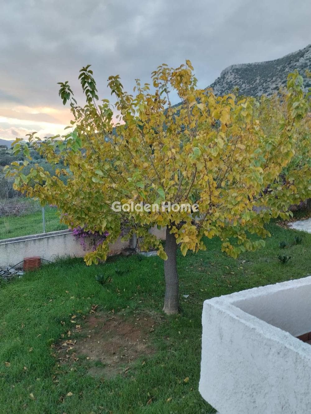 Μονοκατοικία στην Κέντρο, Μαραθώνας — Φωτογραφία 28 από 29