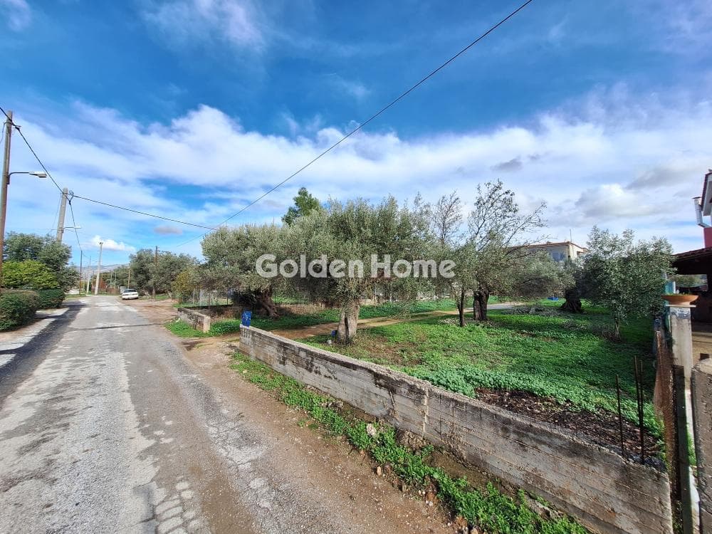 Οικόπεδο στην Αγία Μαρίνα, Παιανία — Φωτογραφία 3 από 5