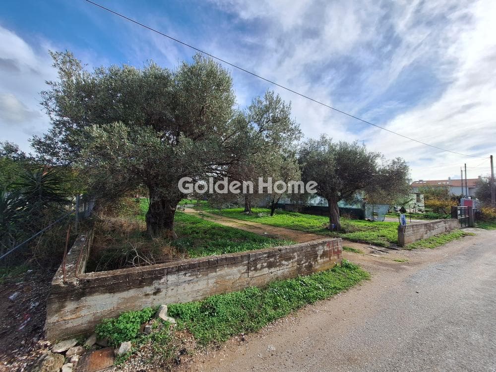 Οικόπεδο στην Αγία Μαρίνα, Παιανία — Φωτογραφία 2 από 5