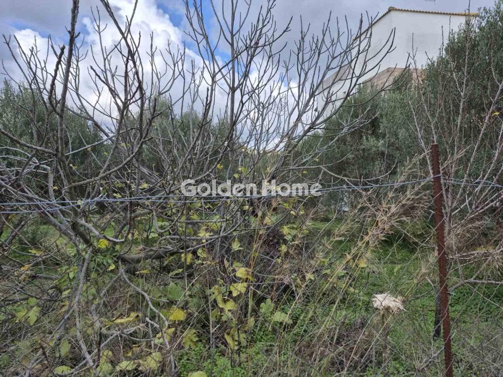 Οικόπεδο στην Πεζά, Αρχάνες — Φωτογραφία 1 από 5