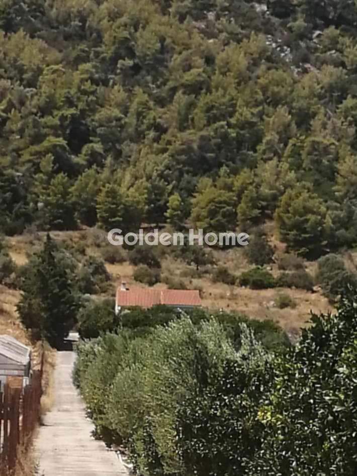 Αγροτεμάχιο στην Βρανάς, Μαραθώνας