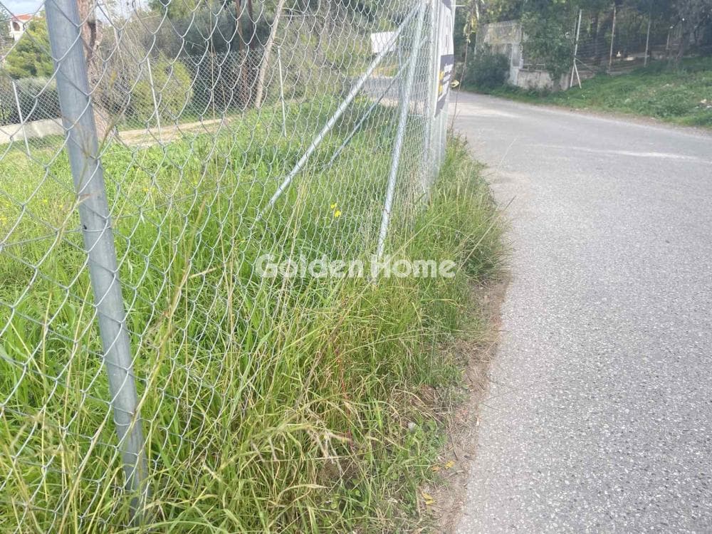Building Plot in Kseno, Salamina