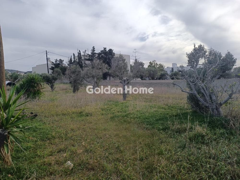 Building Plot in Aliki, Paros — Photo 3 of 12