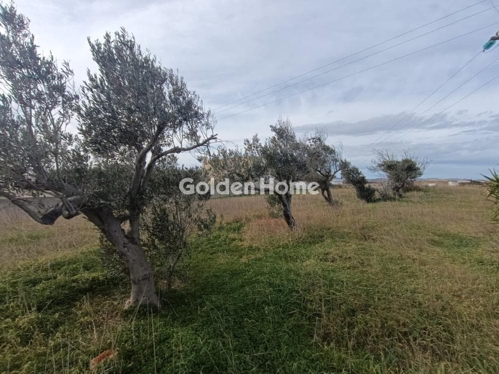 Building Plot in Aliki, Paros — Photo 6 of 12
