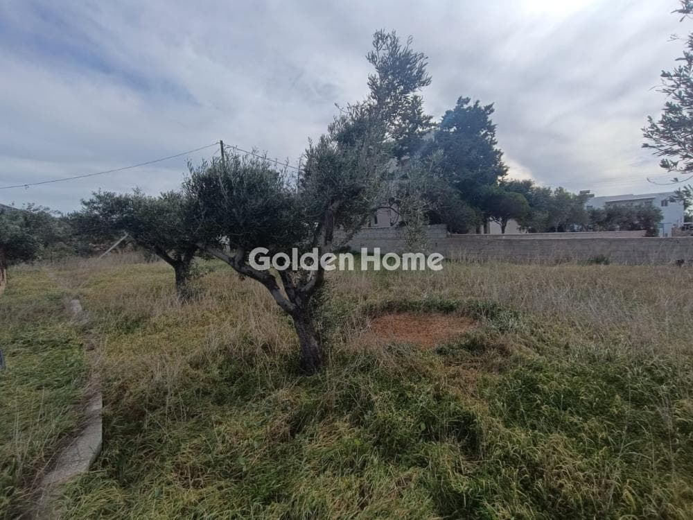 Building Plot in Aliki, Paros — Photo 5 of 12