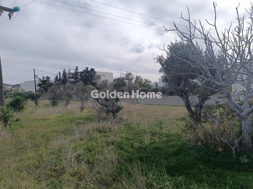 Building Plot in Aliki, Paros — Photo 8 of 12