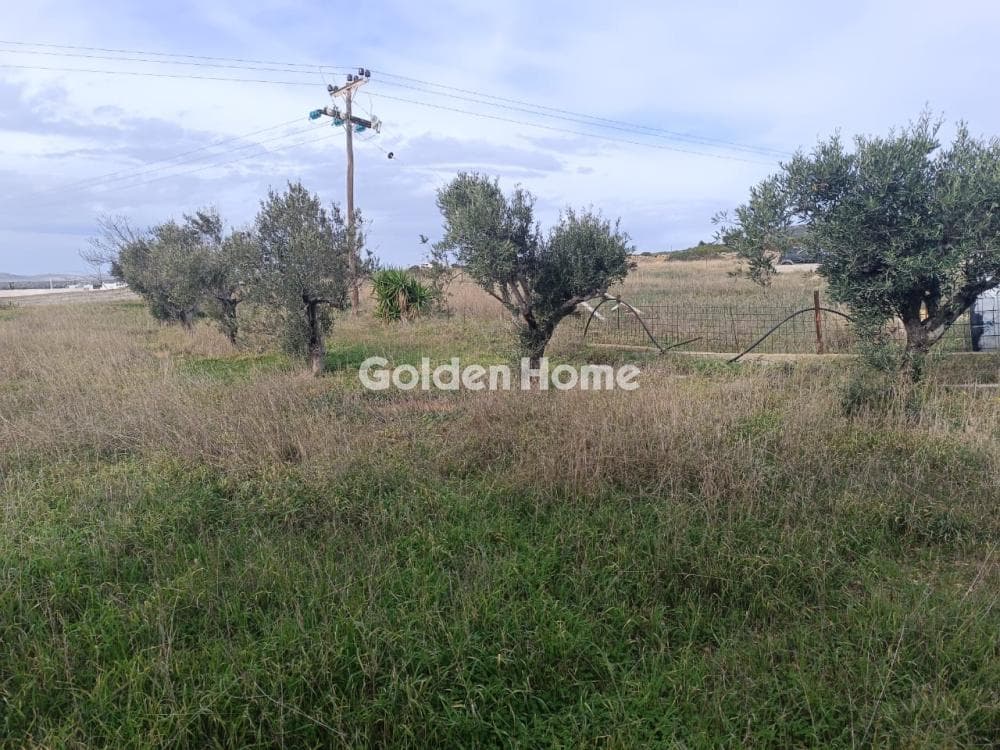 Building Plot in Aliki, Paros — Photo 7 of 12