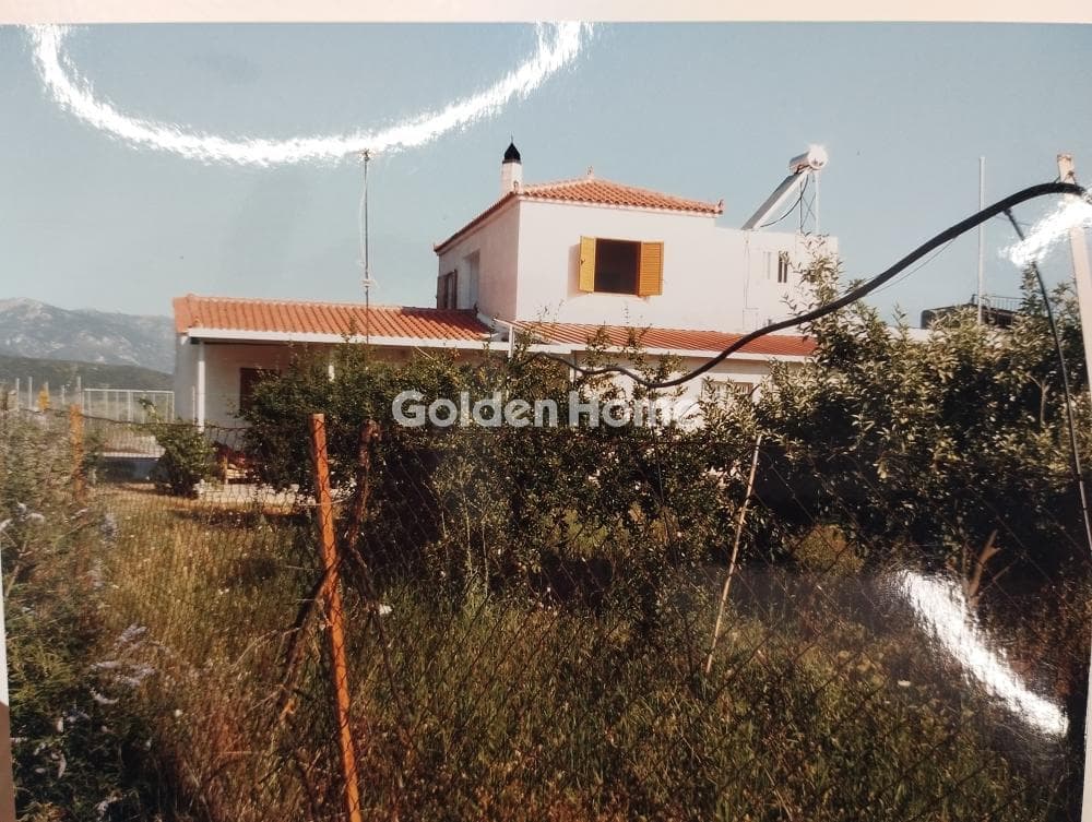 Parcel in Agios Konstantinos, Trizina — Photo 3 of 12