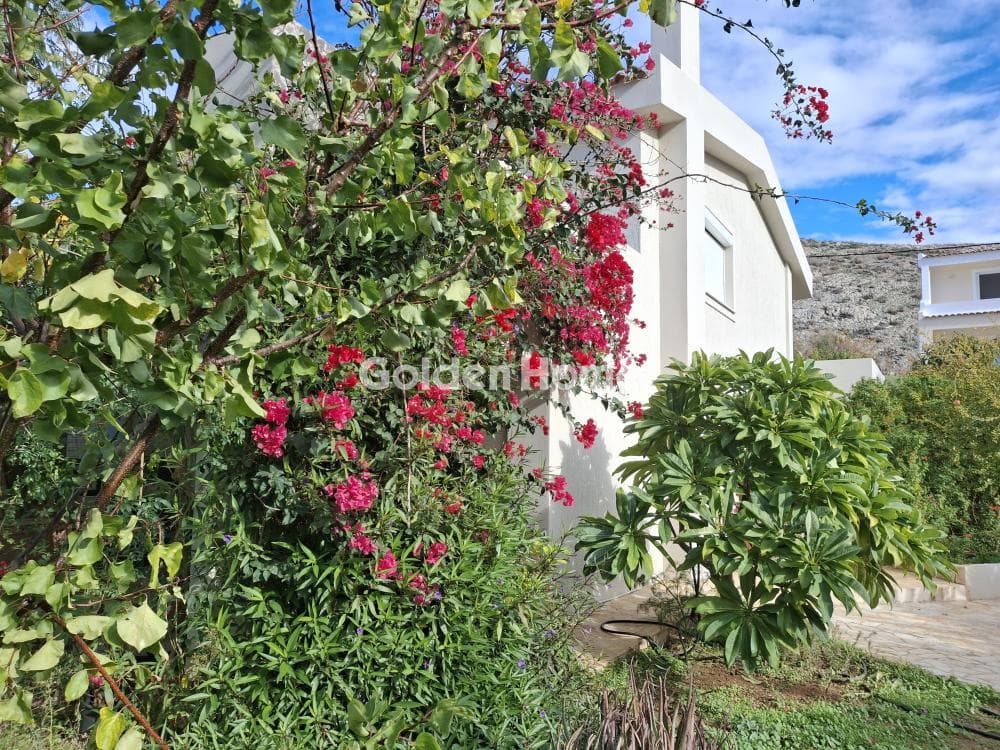 House in Thimari, Palaia Fokaia — Photo 52 of 63