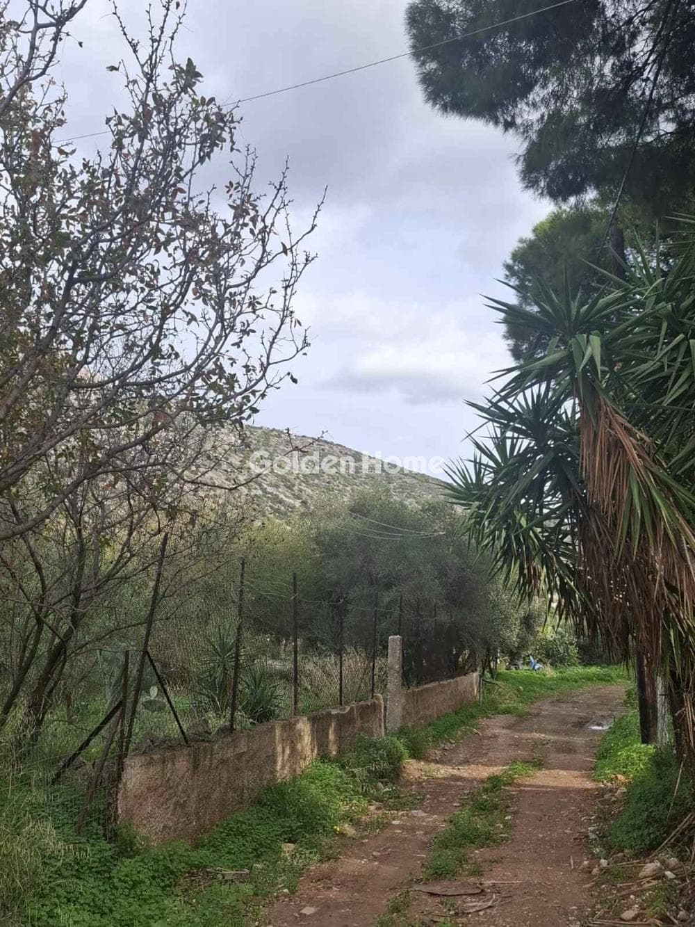 Οικόπεδο στην Γιάλα, Σαλαμίνα — Φωτογραφία 2 από 5