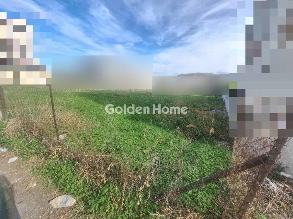 Building Plot in Ethia, Heraclion Cretes — Photo 11 of 12