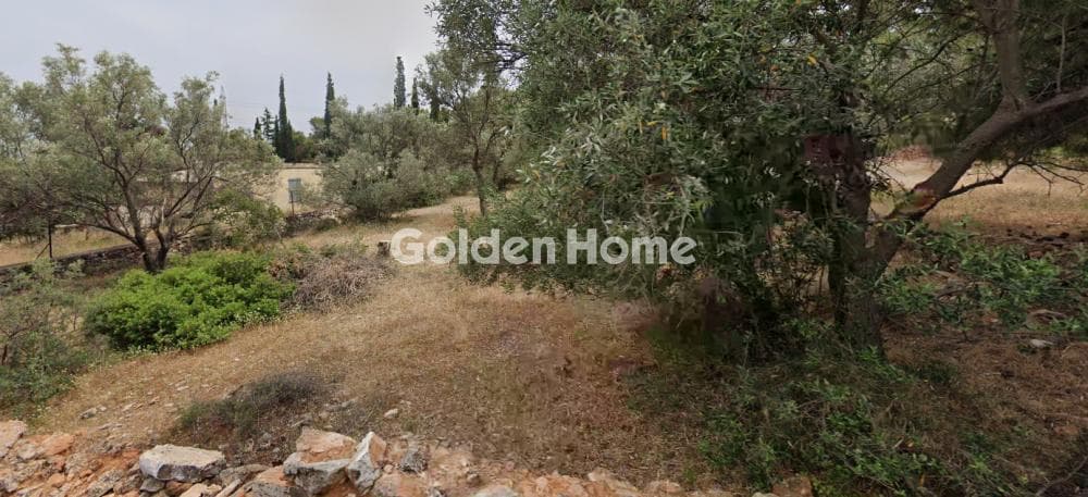 Οικόπεδο στην Κέντρο, Γλυκά Νερά — Φωτογραφία 2 από 2