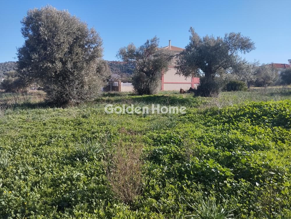 Οικόπεδο στην Αγία Μαρίνα, Παιανία