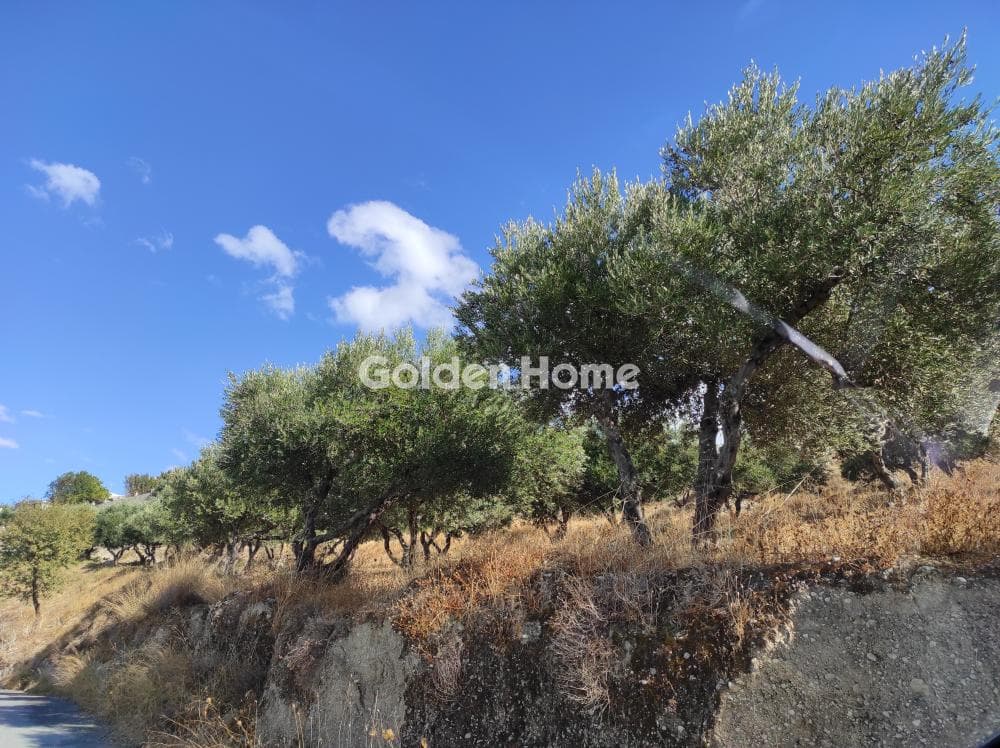 Οικόπεδο στην Άγιος Μύρωνας, Τετραχώρι — Φωτογραφία 1 από 2