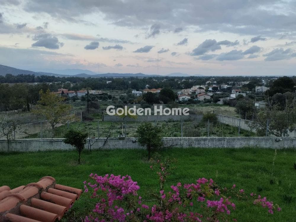 Οικόπεδο στην Κέντρο, Μαραθώνας — Φωτογραφία 4 από 4