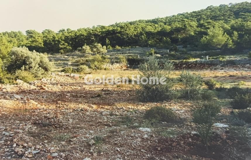 Parcel in Kampochoria, Chios