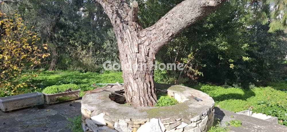 Διαμέρισμα στην Μέλισσα, Μελίσσια — Φωτογραφία 15 από 17