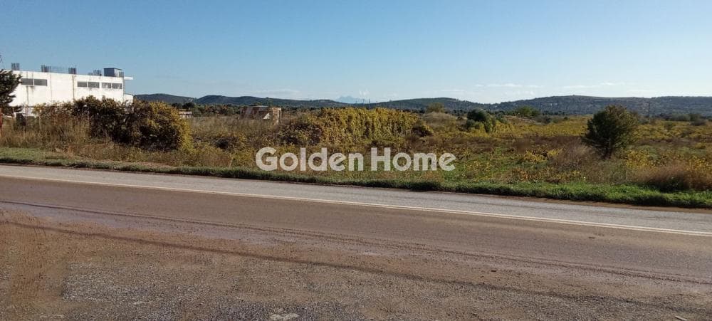 Building Plot in Neapoli, Spata — Photo 1 of 2