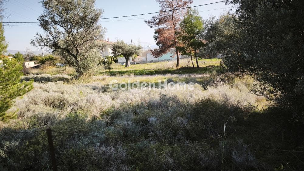 Building Plot in Centre, Glika Nera — Photo 1 of 8