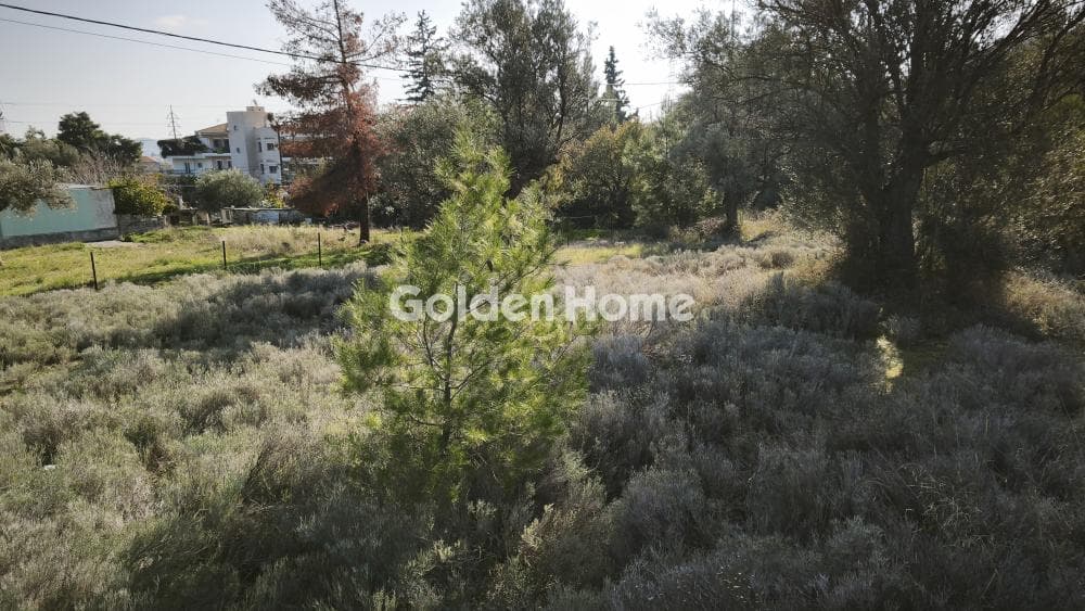Building Plot in Centre, Glika Nera — Photo 2 of 8