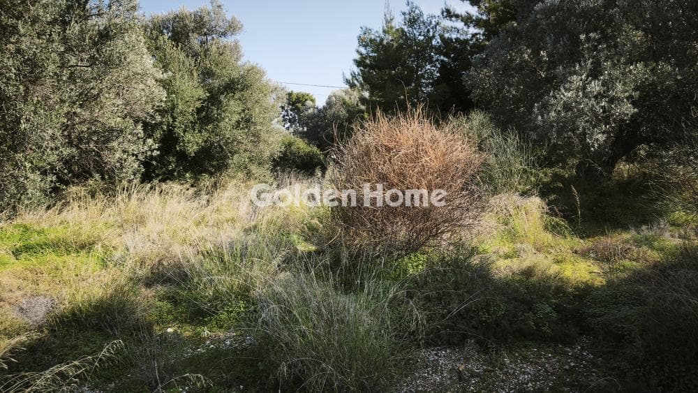 Building Plot in Centre, Glika Nera — Photo 3 of 8