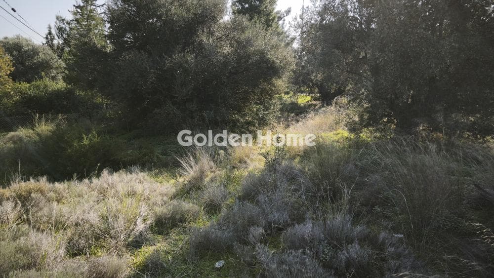 Building Plot in Centre, Glika Nera — Photo 5 of 8