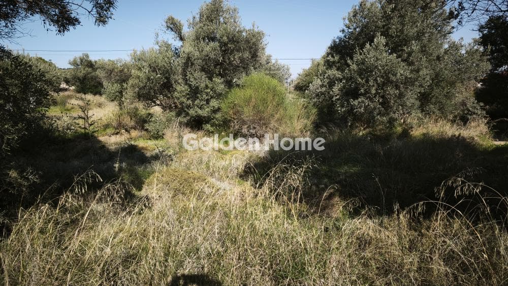 Building Plot in Centre, Glika Nera — Photo 4 of 8