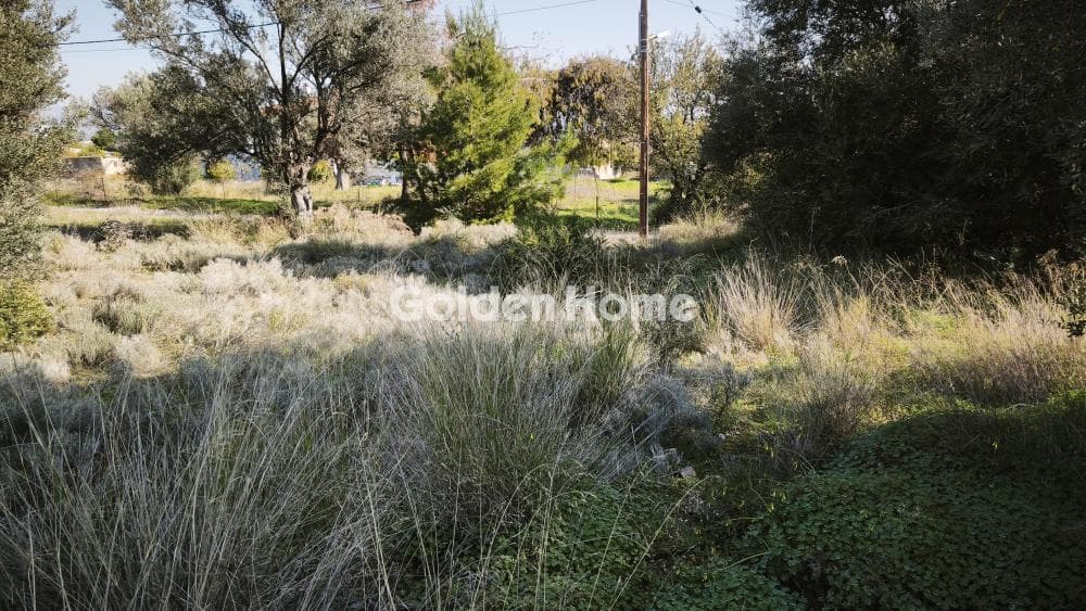 Building Plot in Centre, Glika Nera — Photo 6 of 8