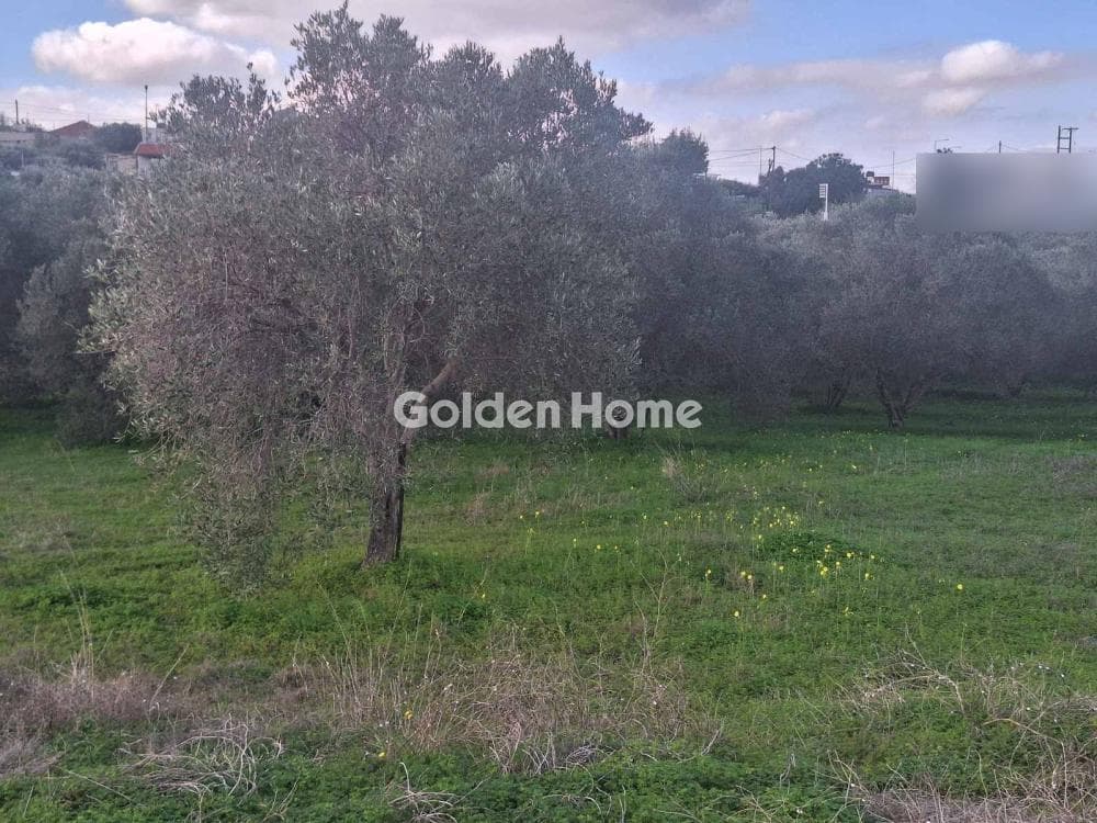 Building Plot in Epano Vatheia, Episkopi — Photo 1 of 10