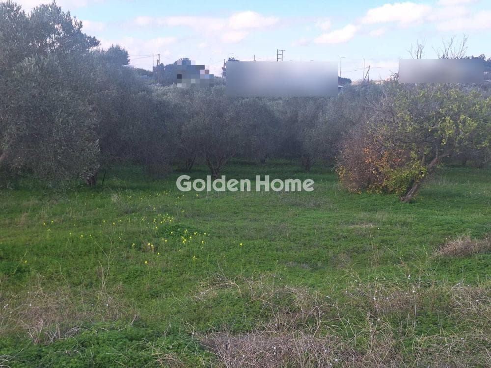 Building Plot in Epano Vatheia, Episkopi — Photo 5 of 10