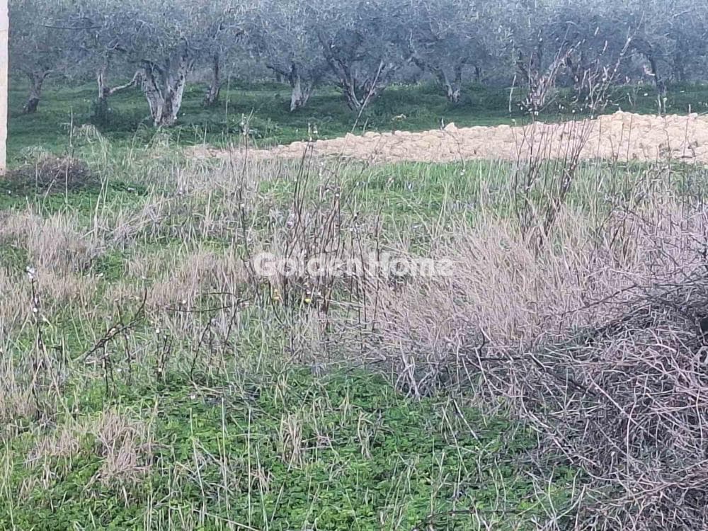 Building Plot in Epano Vatheia, Episkopi — Photo 7 of 10
