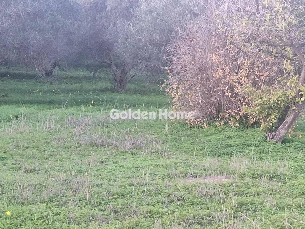 Building Plot in Epano Vatheia, Episkopi — Photo 6 of 10