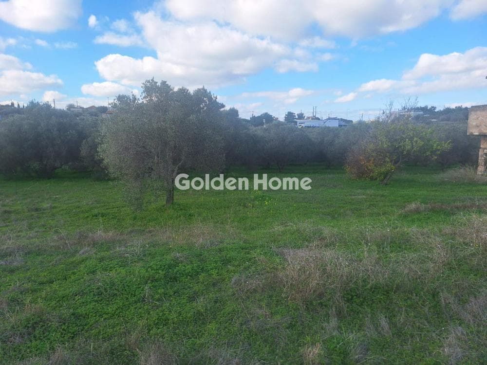 Building Plot in Epano Vatheia, Episkopi — Photo 9 of 10