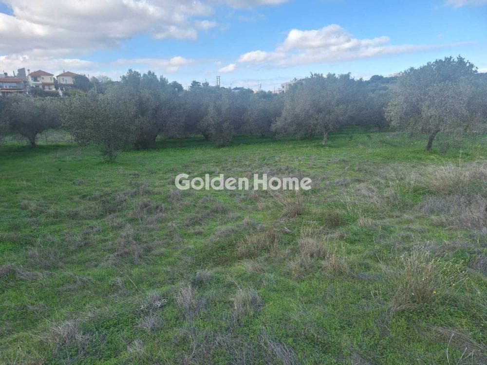 Building Plot in Epano Vatheia, Episkopi — Photo 10 of 10