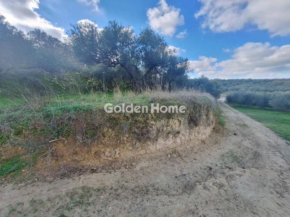 Building Plot in Epano Vatheia, Episkopi — Photo 7 of 19