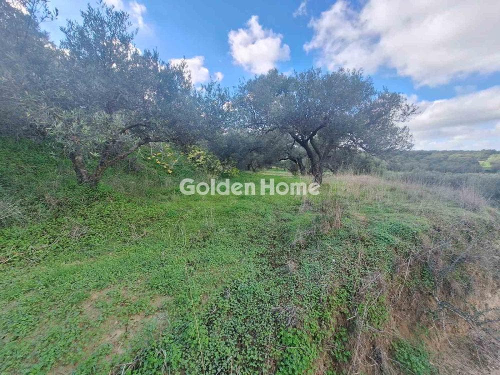 Building Plot in Epano Vatheia, Episkopi — Photo 8 of 19