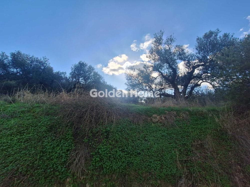 Building Plot in Epano Vatheia, Episkopi — Photo 5 of 19