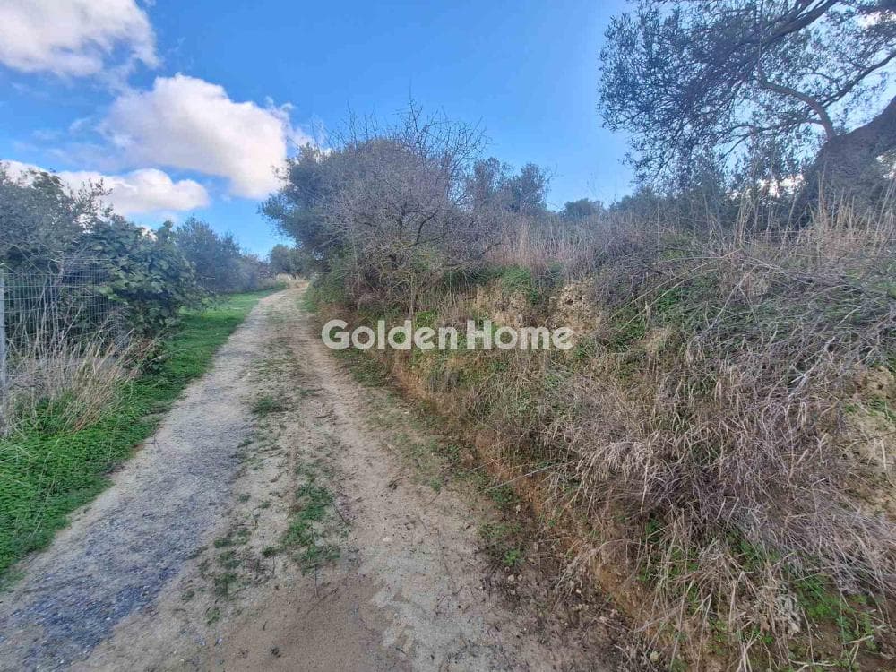 Building Plot in Epano Vatheia, Episkopi — Photo 14 of 19